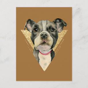 Cartão Postal "Olhos De Puppia" Pit Bull Cachorro Moleração 3