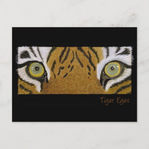 Cartão Postal olhos de tigre