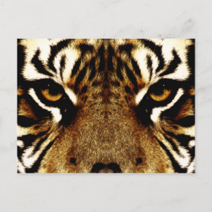 Cartão Postal Olhos de um Tigre