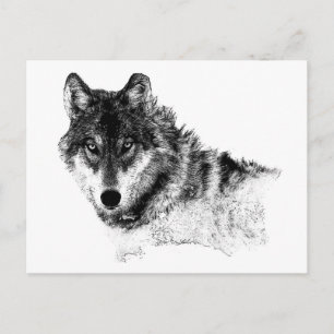 Cartão Postal Olhos do Lobo Inspirador Branco Preto