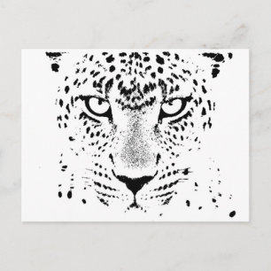 Cartão Postal Olhos Leopardo Pretos e Brancos