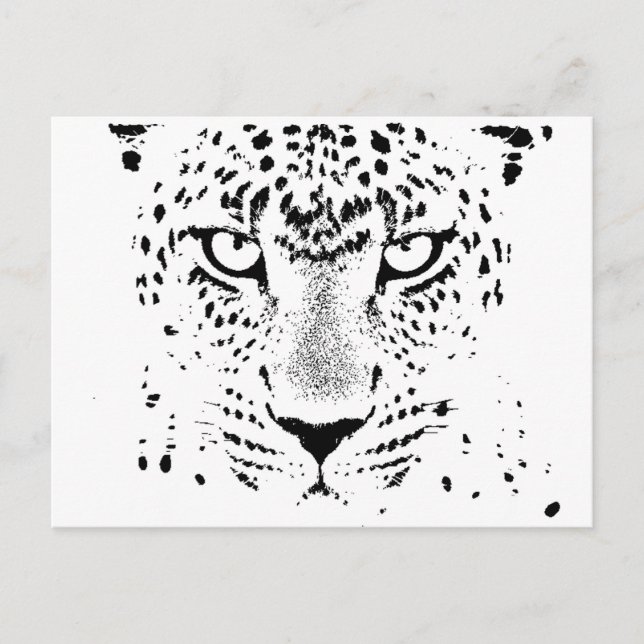 Cartão Postal Olhos Leopardo Pretos e Brancos (Frente)