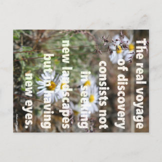 Cartão Postal Olhos Novos