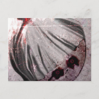 Cartão Postal Olhos Vermelhos