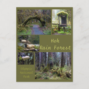 Cartão Postal Olimpiadas N.P. (Floresta Chuva Hoh 2)