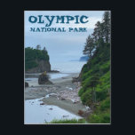 Cartão Postal Olimpiadas National Park Washington Rocky Beach<br><div class="desc">Olá! Espero que goste desta foto que eu capturei nas minhas viagens. Sinta-se livre para adicionar seu próprio texto! Procure mais no meu compro.</div>