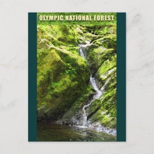 Cartão Postal OLIMPIADAS NAT'L FLOREST Waterfall