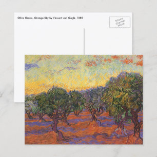 Cartão Postal Olive Grove, Orange Sky, por Vincent van Gogh