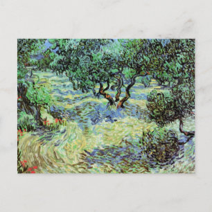Cartão Postal Olive Grove, Vincent van Gogh