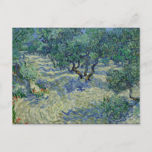 Cartão Postal Olive Orchard por van Gogh