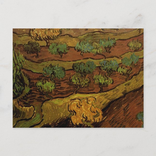Cartão Postal Oliveira Slope de Hill Van Gogh Fine Art (Frente)