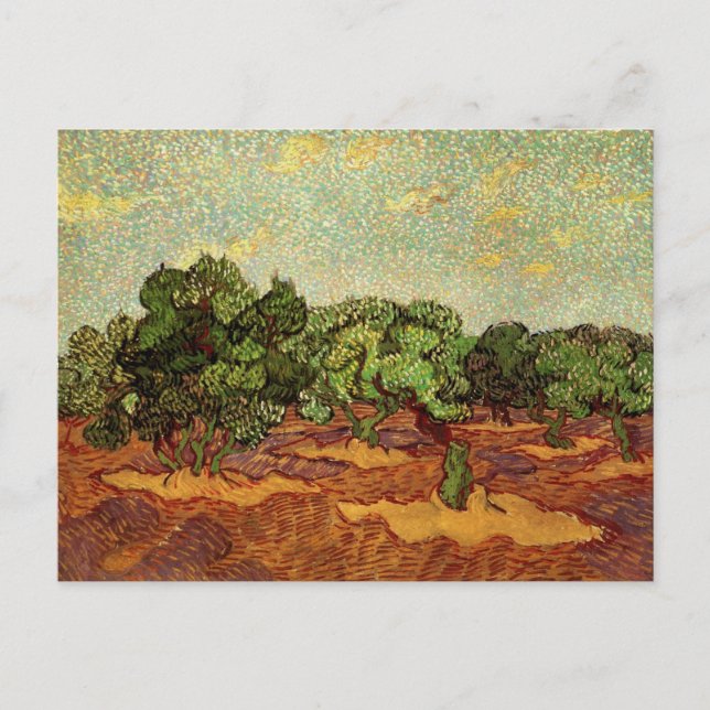Cartão Postal Oliveiral, Céu Azul Pálido por Vincent van Gogh (Frente)