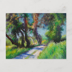 Cartão Postal Oliveiral Iluminada pelo Sol Paisagem Pastel