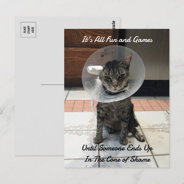 Cartão Postal Oliver The Cats Cone of Shame (Frente/Verso)