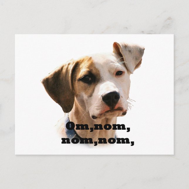 Cartão Postal Om, nom, nom. (Frente)