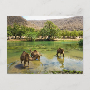 Cartão Postal Omã, Wadi darbat