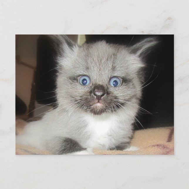 CARTÃO POSTAL OMG (Frente)