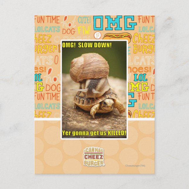 Cartão Postal OMG! Slow down! (Frente)