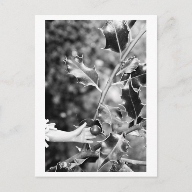 Cartão Postal Once upon a time in the woods (Frente)