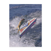 Ondas legal de Pulso do Laboratório