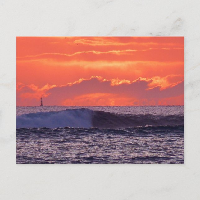 Cartão Postal Ondas tropicais (Frente)