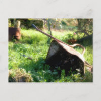 Onde está Peter Rabbit?