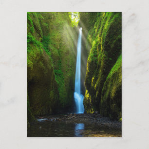 Cartão Postal Oneonta Falls