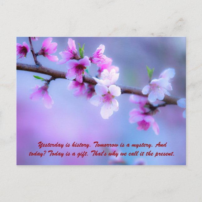 Cartão Postal Ontem é história. Amanhã é um mistério. E t (Frente)