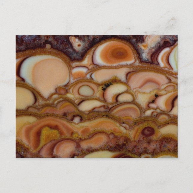Cartão Postal Onyx castanho (Frente)