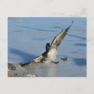 Cartão Postal Oops!