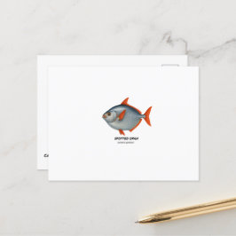 Cartão Postal Opah - Animais Marinhos da Califórnia