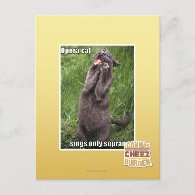 Cartão Postal Ópera Cat (Frente)