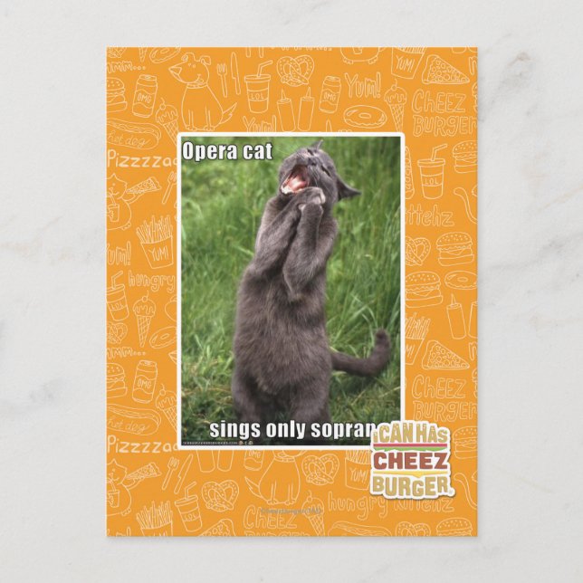 Cartão Postal Ópera Cat (Frente)
