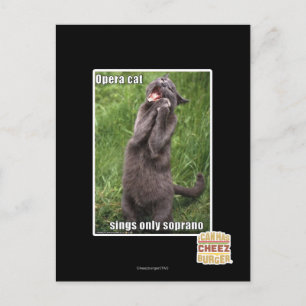 Cartão Postal Ópera Cat