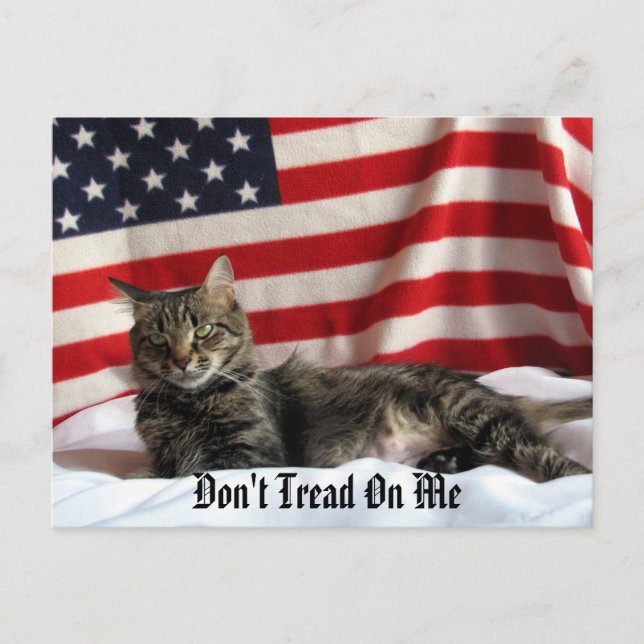 Cartão Postal Opinião Política de Nia (Frente)