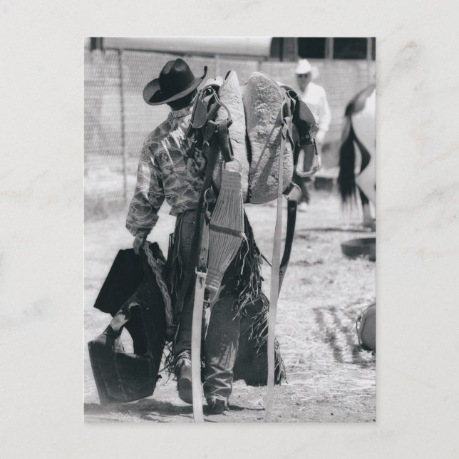 Cartão Postal Opinião traseira o vaqueiro que transporta a (Frente)