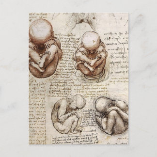 Cartão Postal Opiniões de um feto em Womb.jpg por Leonardo Vinci