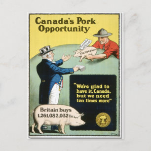 Cartão Postal Oportunidade de Porco do Canadá