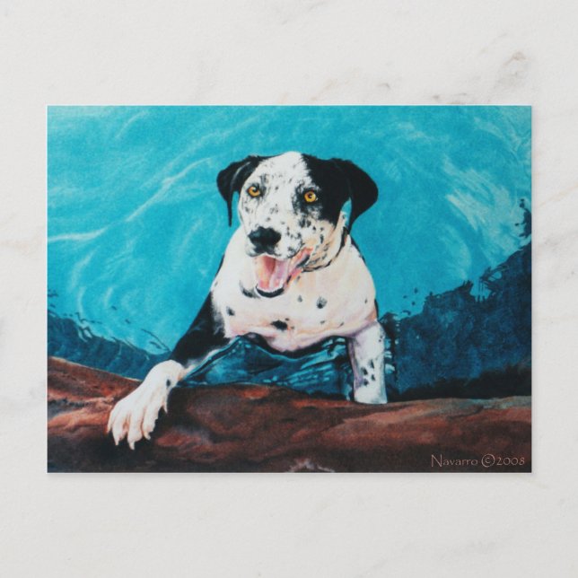 CARTÃO POSTAL OPUS (Frente)