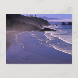Cartão Postal OR, Oregon Coast, Ecola SP, Indian Beach com