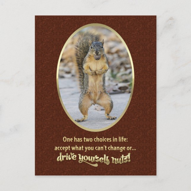 Cartão Postal Oração da Serenidade em uma casca (Frente)