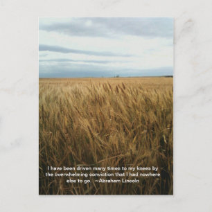 Cartão Postal oração do campo de trigo