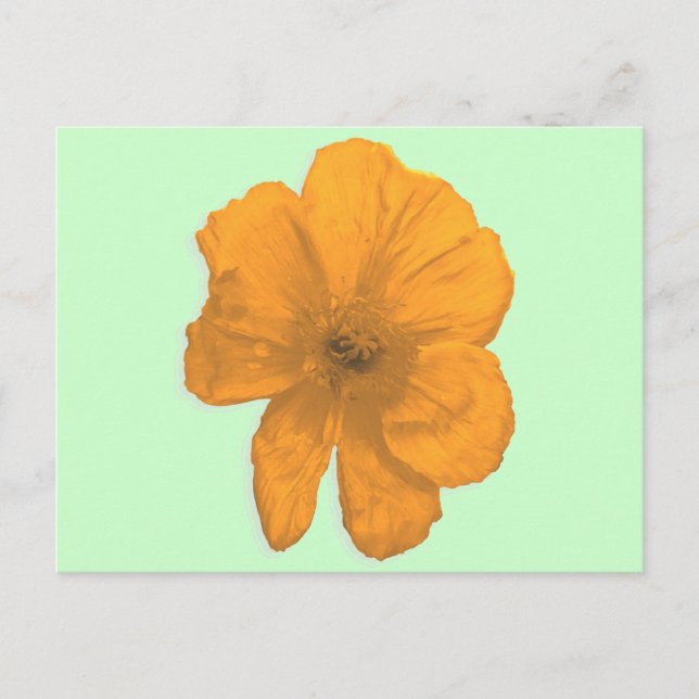 Cartão Postal Orange Aid/ PopArt Flower (Frente)