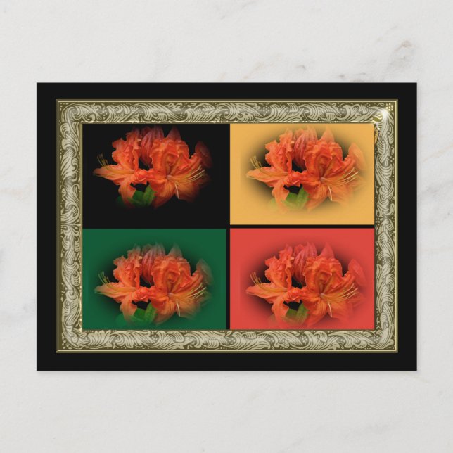 Cartão Postal Orange Azaleas (Frente)