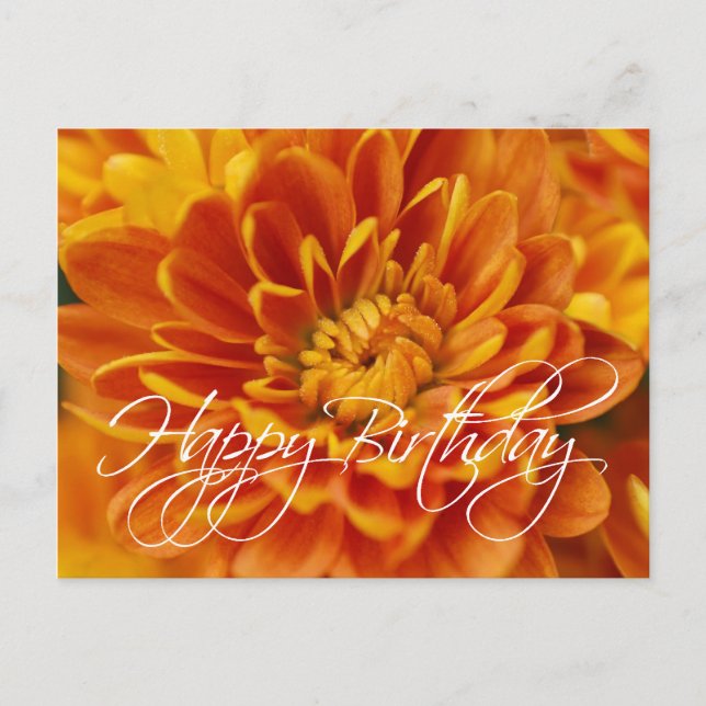 Cartão Postal Orange Chrysanthemum Happy Birthday (Frente)