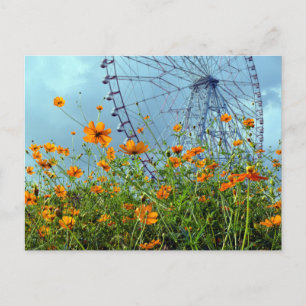 Cartão Postal Orange Cosmos Flowers & Ferris Wheel: Tóquio Postc