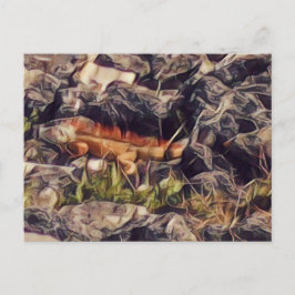 Cartão Postal Orange Guana Art