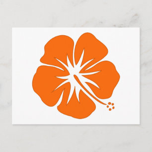 Cartão Postal Orange Hibiscus