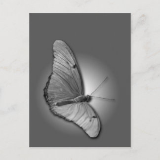 Cartão Postal Orange Julia