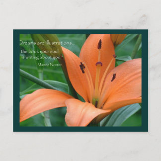Cartão Postal Orange Lily